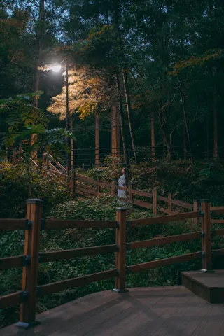 보문산 행복 숲 둘레길