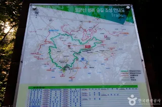 보문산 행복 숲 둘레길