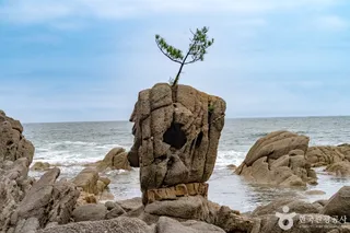 송지호해안 서낭바위 (강원평화지역 국가지질공원)