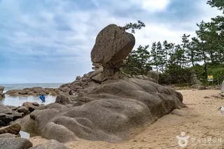 송지호해안 서낭바위 (강원평화지역 국가지질공원)
