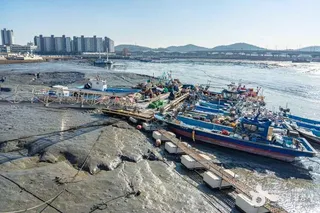월곶포구