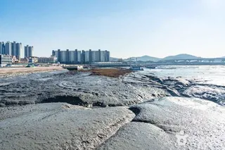 월곶포구