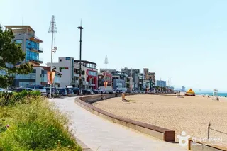안목해변