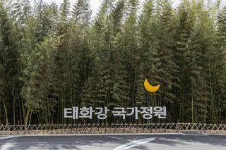태화강 국가정원