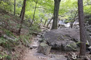 홍류폭포