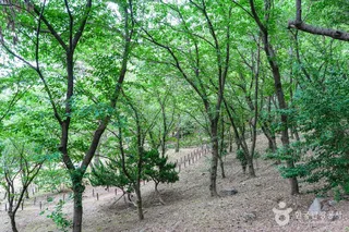 학성공원
