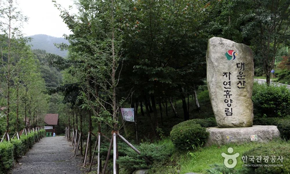 대운산