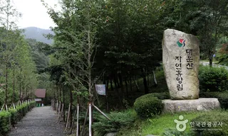 대운산