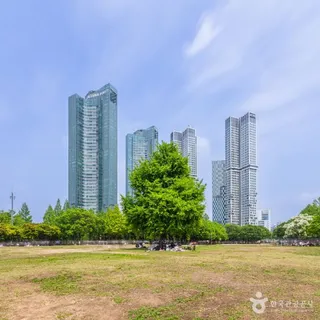 서울숲