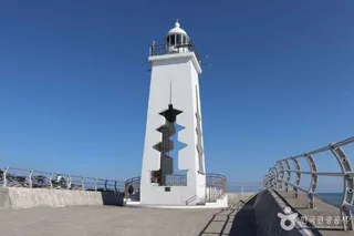 감포항