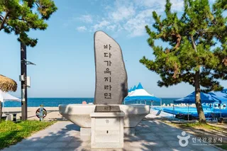 나정고운모래해변