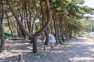 샛별해수욕장
