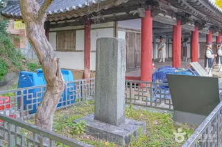 장기척화비와 근민당