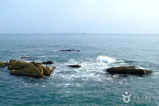 영진항