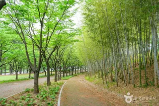 울산체육공원