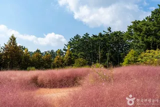 청산수목원