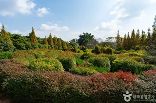 청산수목원