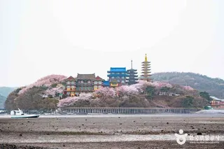 안면암(태안)