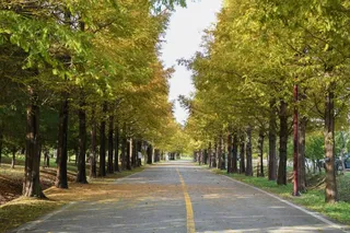 수도권매립지 드림파크 야생화단지