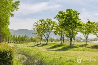 삼락생태공원