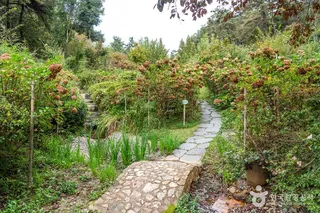 죽화경