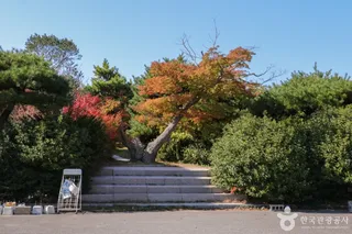 울산테마식물수목원