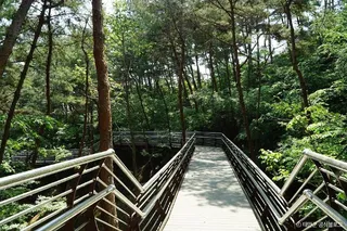백화산(태안)