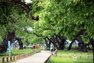 성주 경산리 성밖숲