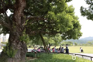 성주 경산리 성밖숲