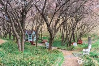 설봉공원