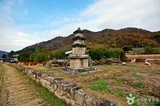 충주 추평리 삼층석탑