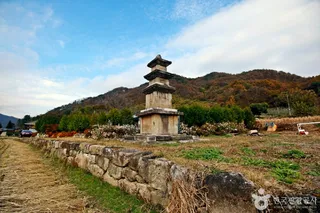 충주 추평리 삼층석탑
