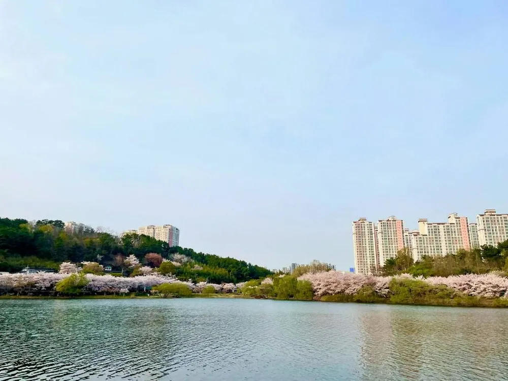 선암호수공원