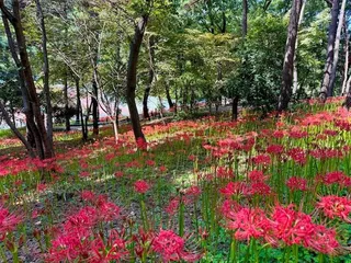 선암호수공원