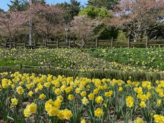 선암호수공원