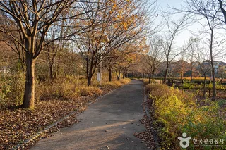 수풀로 삼회리