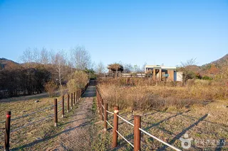 수풀로 삼회리