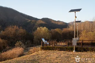 수풀로 삼회리