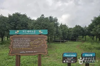 거슨새미오름