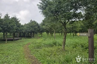 거슨새미오름