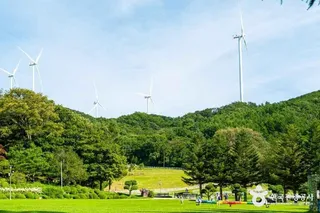 대관령 하늘목장