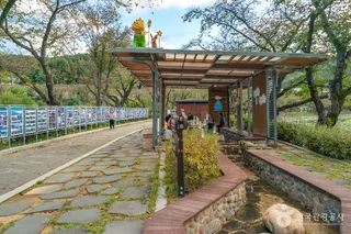 수안보온천 관광특구