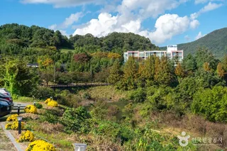 [충주 풍경길] 종댕이길