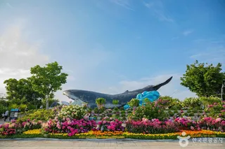 장생포 고래문화마을