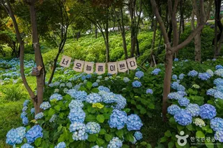 장생포 고래문화마을