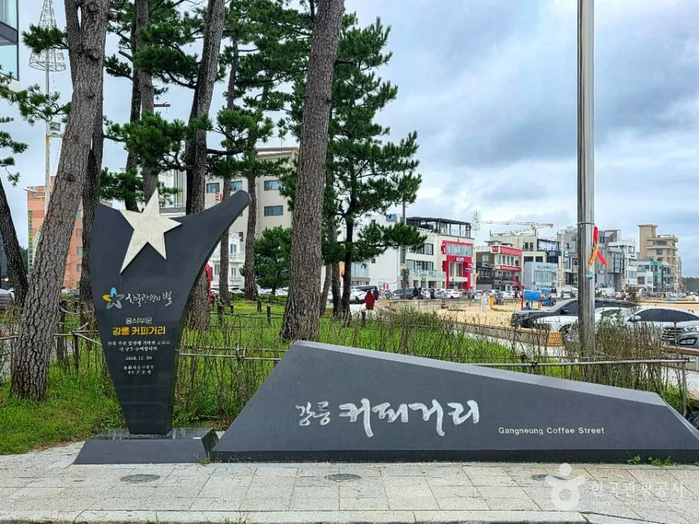 강릉커피거리