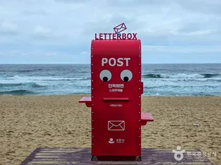 강릉커피거리
