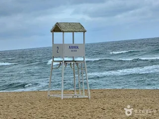 강릉커피거리