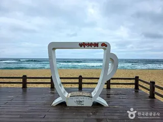 강릉커피거리