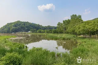 다산생태공원
